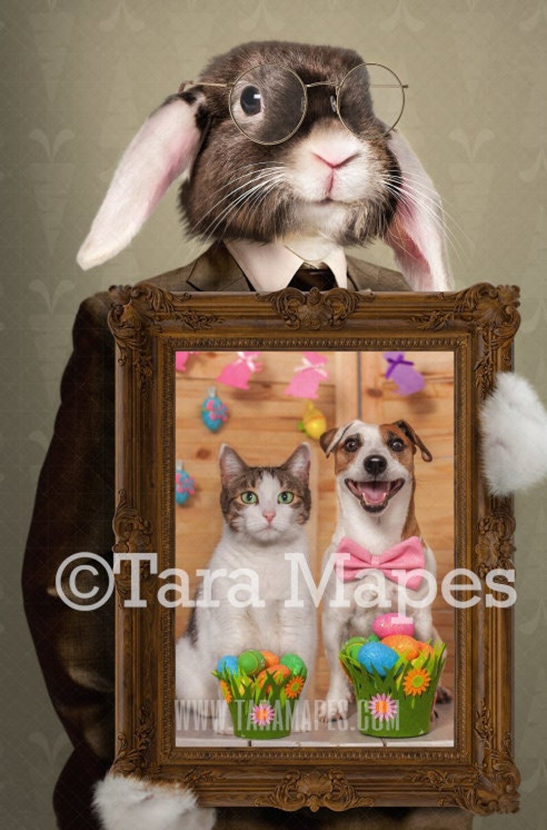 Easter Bunny Frame Digital Backdrop PNG File Fine Art Etsy