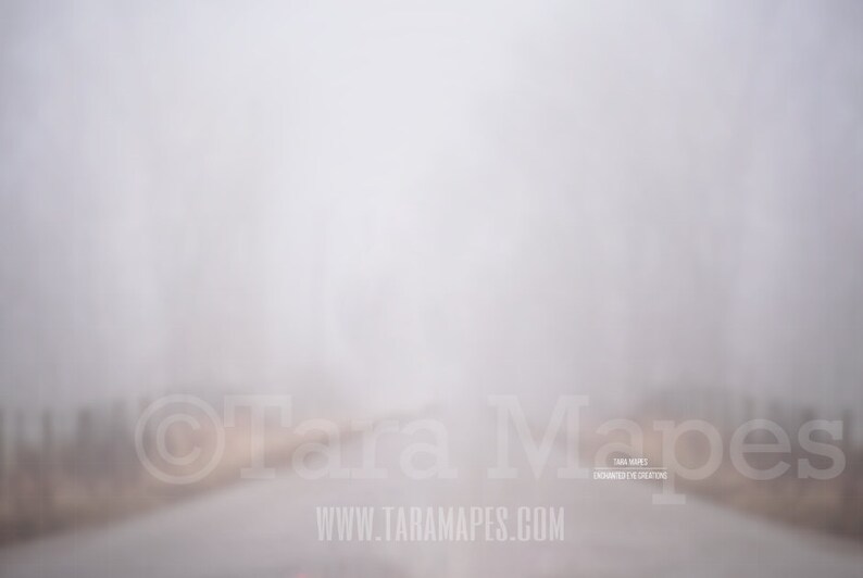 Foggy Road Crop Mist Misty Scene- Digital Background by Tara Mapes Fog in the Morning Creamy Natural Background