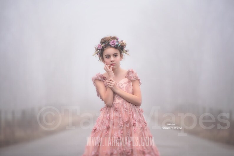 Foggy Road Crop Mist Misty Scene- Digital Background by Tara Mapes Fog in the Morning Creamy Natural Background