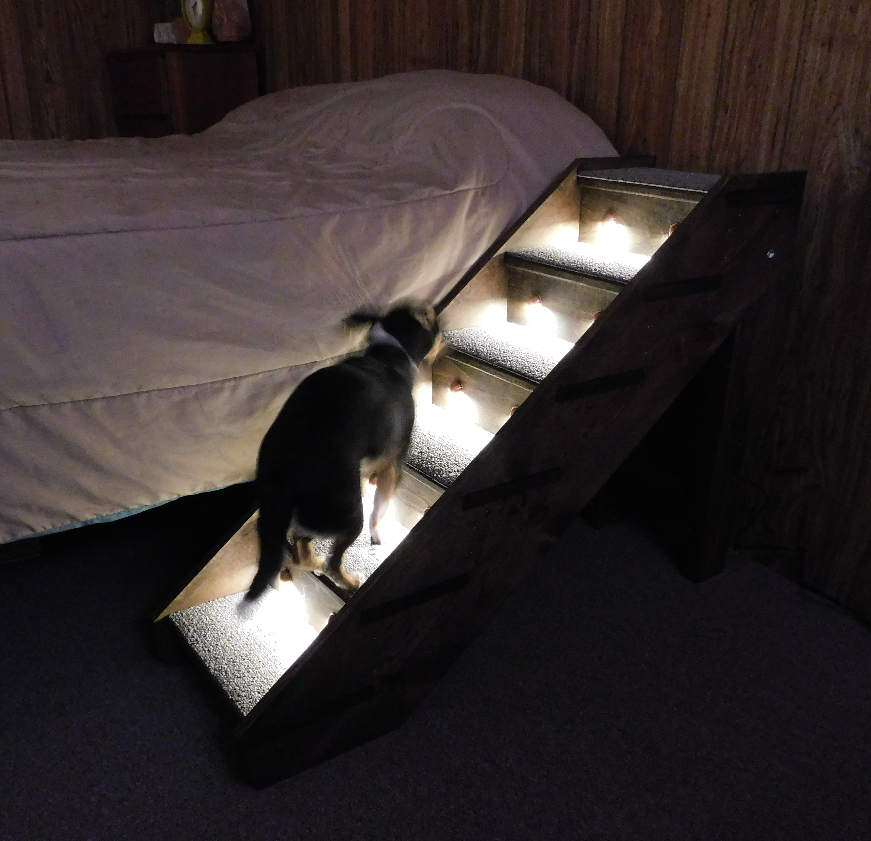 Lighting Kit For Handmade Wood Dog Steps Pet Steps Side Rails Etsy