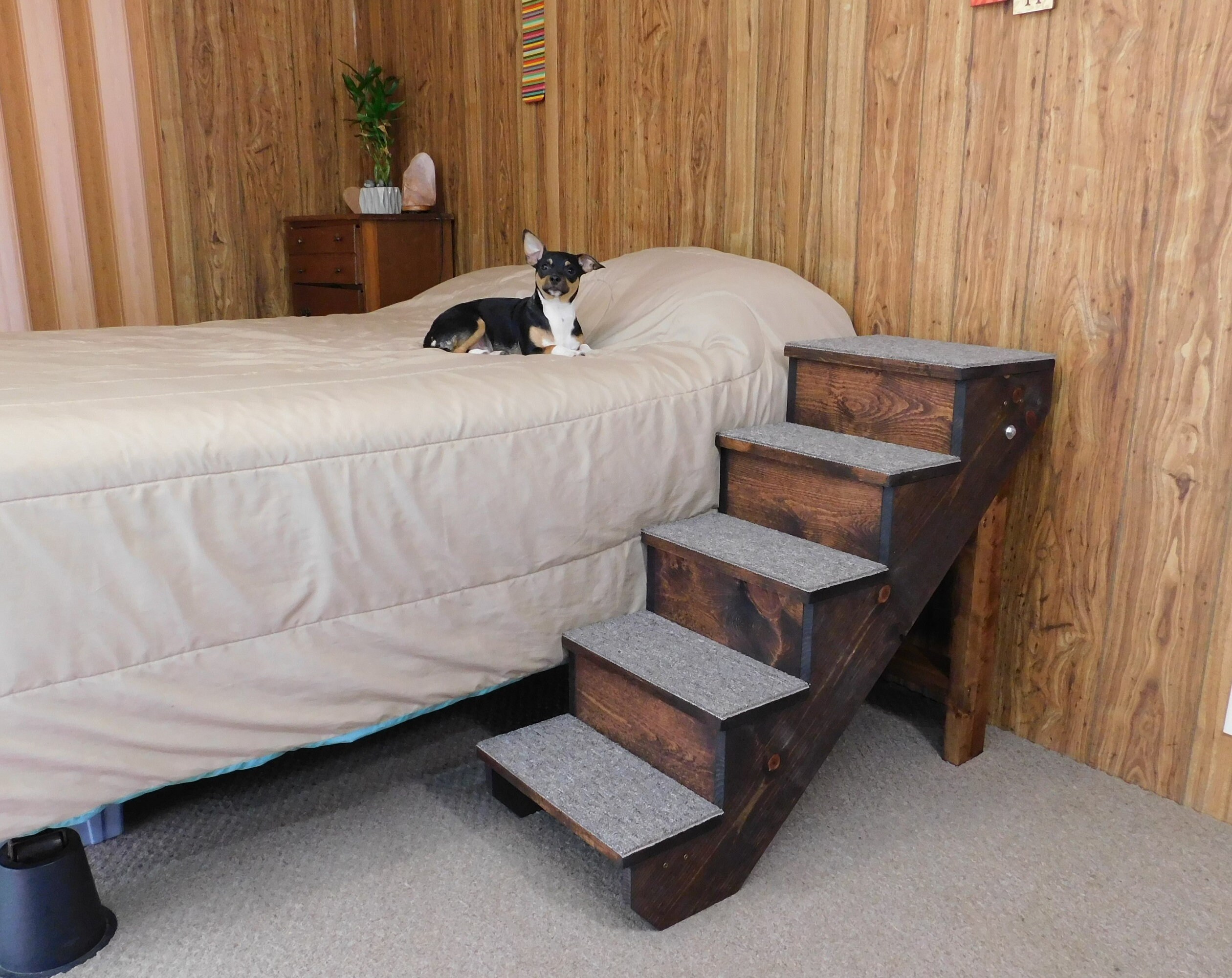pet stairs for tall beds