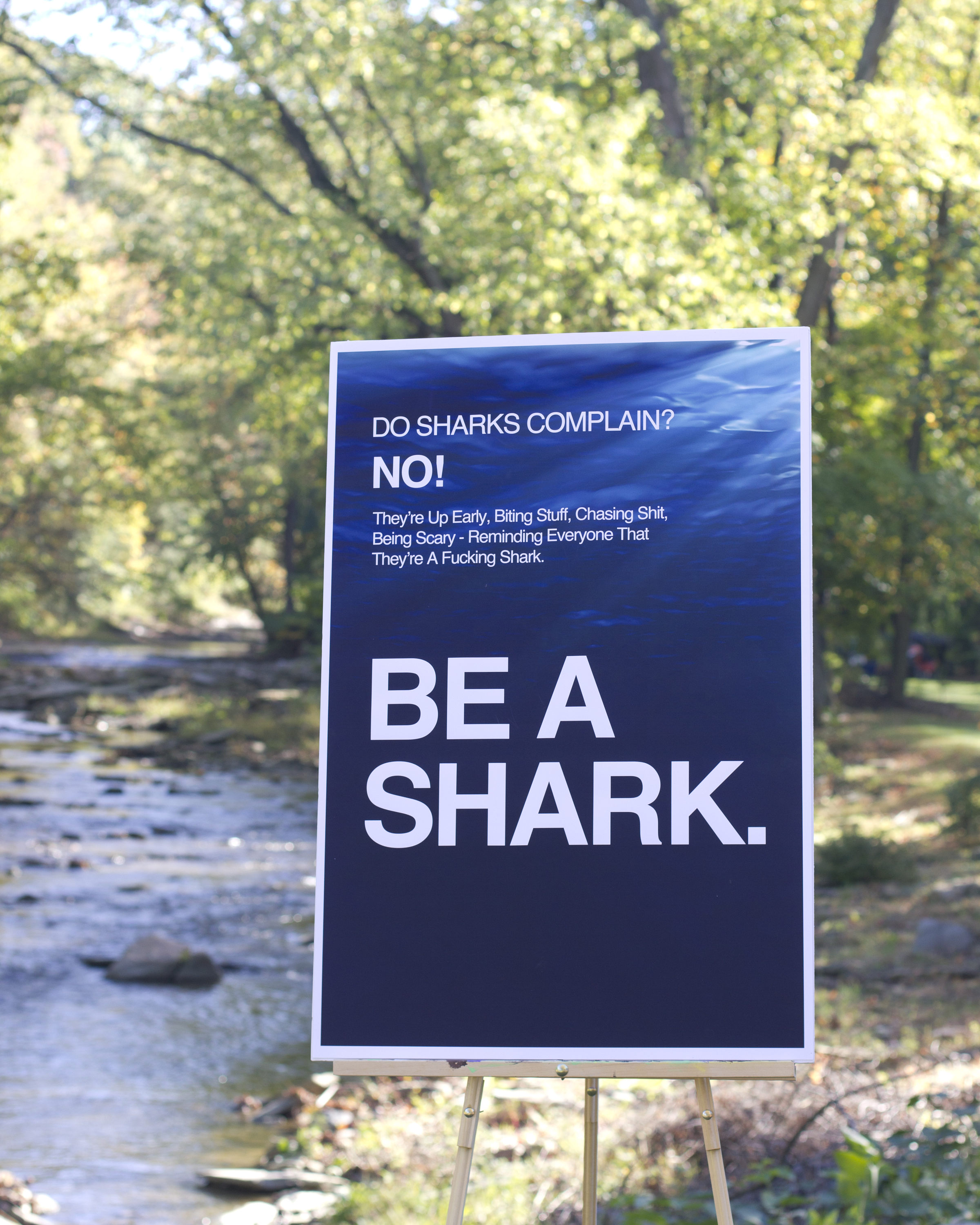 Motivational Be A Shark Quote Poster Print | Etsy