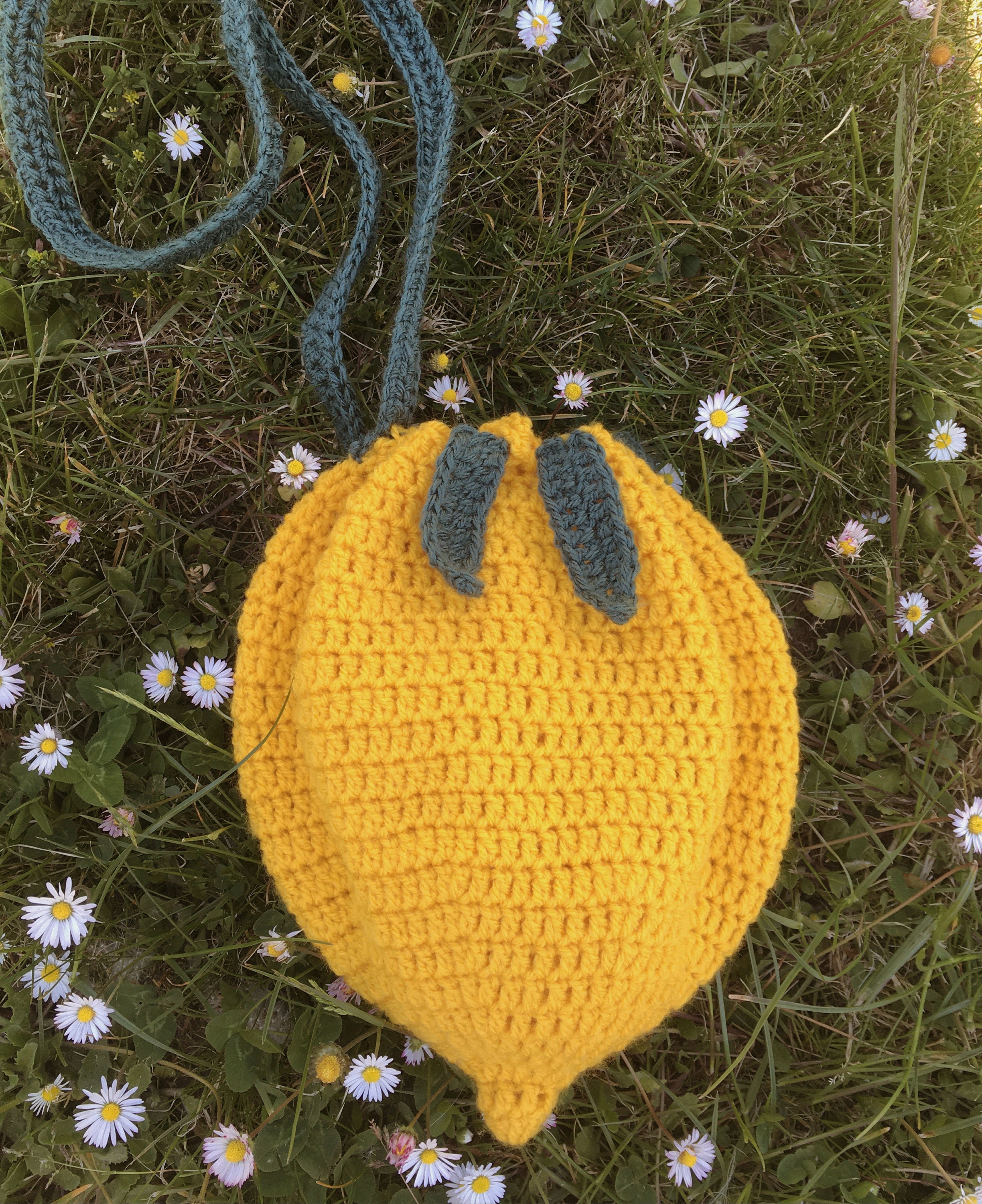 Lemon Crochet Purse : 8 Steps (with Pictures) - Instructables