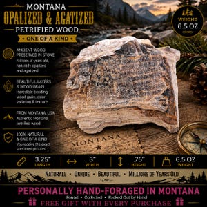 May include: A piece of Montana opalized and agatized petrified wood with visible wood grain and banding. The specimen measures 3.25 inches in length, 3 inches in width, and 0.75 inches in height, with a total weight of 6.5 ounces as stated on the image.