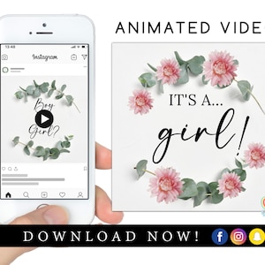 ¡Es niña! Video de revelación de género. Video digital de anuncio de embarazo para redes sociales / Descarga instantánea.