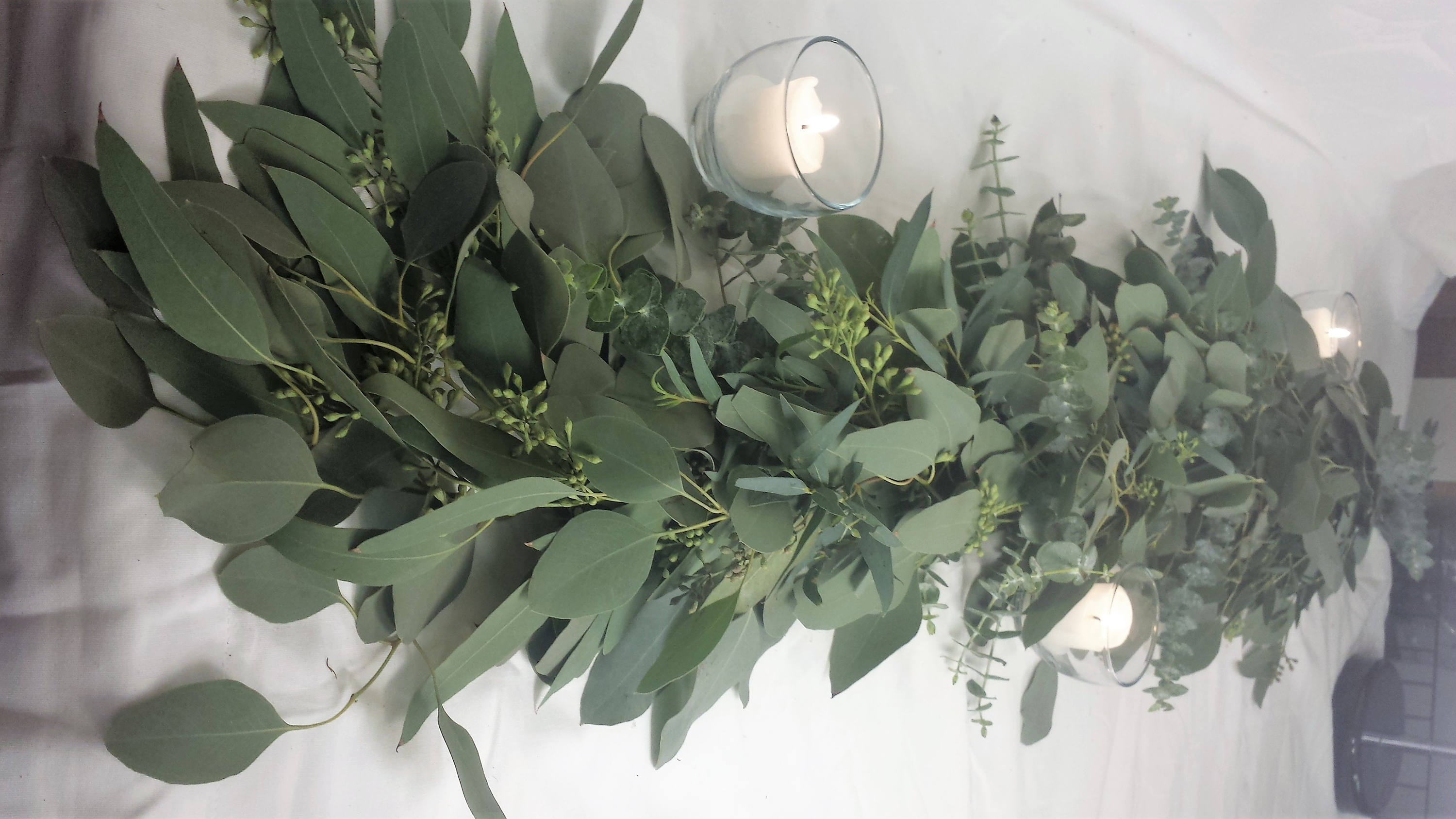 Fresh Garland seeded eucalyptus Garland gunnii eucalyptus Etsy