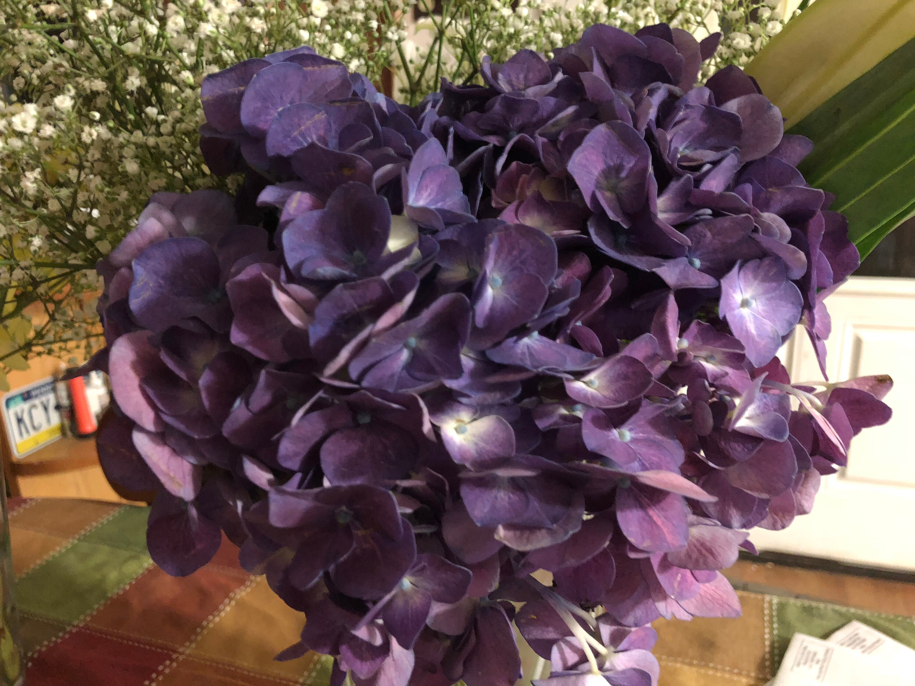 Fresh Hydrangeas Purple Wedding Zoom