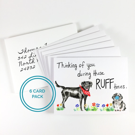 Social Distancing Birthday When this is over we'll have a PAW-TY Card Pack Happy Birthday Dog Mom Dog Lover Gift Shih Tzu Watercolor