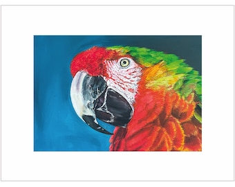 Papagei Ara Druck, dekoratives Bild im Passepartout mit sichtbarem Ausschnitt 20 x 29 cm, Nachdruck meines Acrylgemäldes