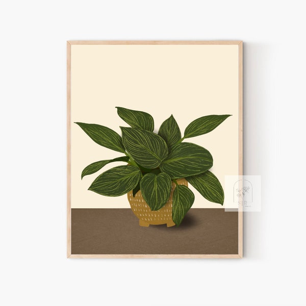 Philodendron Birkin Wall Art Birkin Decor Indoor Plant Mom Plant Decor Plant Wall Art Birkin Print Philedendron Print INSTANT DOWNLOAD