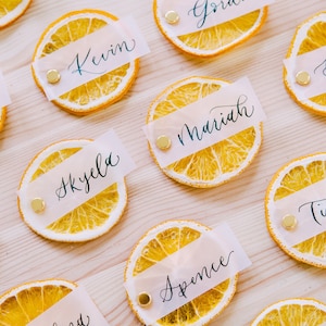 Orange Citrus Place Cards Name Cards Wedding - Etsy