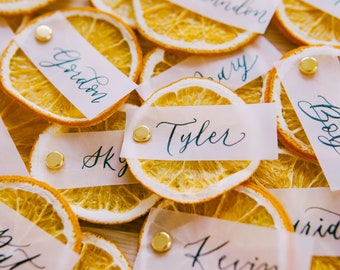 Orange Citrus Place Cards Name Cards Wedding