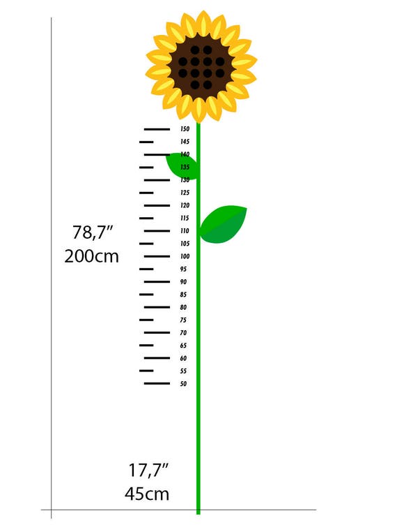 Daisy Growth Chart