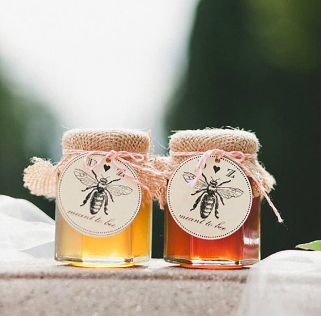 25 Honey Jar Favors 2 Oz. With Honey Dippers Wedding Favors Etsy