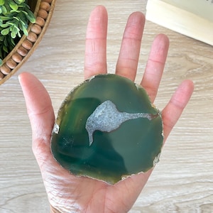 May include: A polished, green agate slice with a white and gray center. The natural stone has a smooth surface and a rough, textured edge. The agate is held in a hand, showcasing its size and color variations. This decorative item is ideal for home decor.
