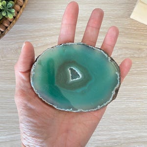 May include: A polished, round agate slice in shades of green, with a central, lighter-colored, triangular pattern. The agate has a natural, rough, brown edge. The stone is held in a hand.