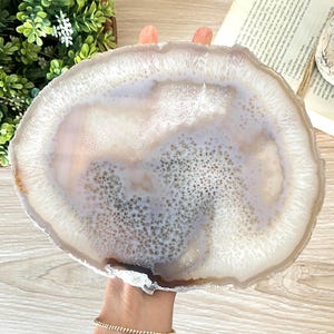 May include: A large, circular agate slice featuring a translucent, pale lavender and white center with intricate, crystalline dendritic patterns. The outer edge is defined by a thick, textured, opaque white band of natural mineral formation.