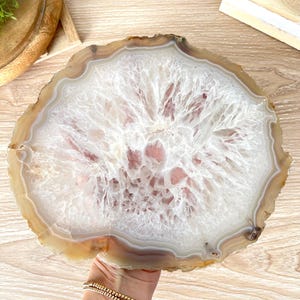 May include: A large, circular agate slice featuring a translucent, crystalline white center surrounded by concentric bands of tan, beige, and brown. The edges are rough and natural, showcasing the organic, layered structure of the mineral specimen.