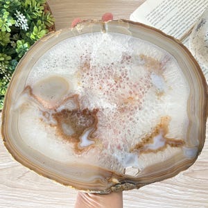 May include: A large, circular agate slice featuring concentric bands of tan and brown around a translucent, crystalline center. The interior displays a mix of white, cream, and amber-colored quartz formations with a textured, geode-like appearance.