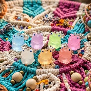 May include: A collection of colorful frog-shaped charms in various colors, including blue, pink, green, and yellow. The charms are displayed on a macrame background with a braided leather strap and beaded bracelets. The frogs have silver-colored accents.