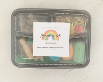 Sensory Kit, Homeschool Learning, Sensory Bin, Sensory Box, Sensory Play, Play Dough Kit, Busy Box, Kid Gift, Playdough Kit