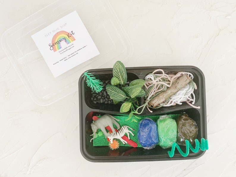 Fantasy Sensory Kit, Homeschool Learning, Sensory Bin, Sensory Box, Sensory Play, Play Dough Kit, Busy Box, Kid Gift, Fantasy Playdough Kit image 2