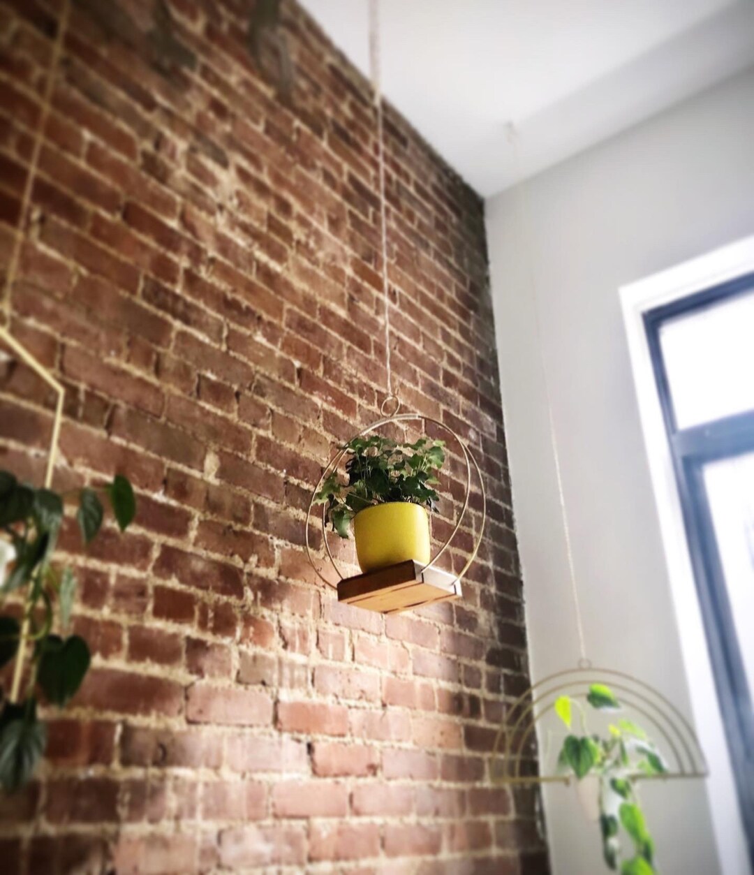 14+ Plant Wall Hangers