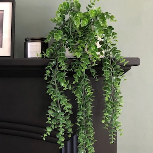 Artificial Trailing Eucalyptus Plant, Hanging Plant, Bathroom Decor Trailing Greenery, Home Decor Fake Plant