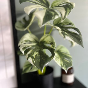 Artificial Variegated Monstera Plant