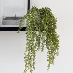 May include: A hanging artificial plant with trailing green leaves. The plant is suspended below a black framed picture of a lighthouse. The plant's foliage is a bright green, bringing a natural element to the room. The plant is in a pot.