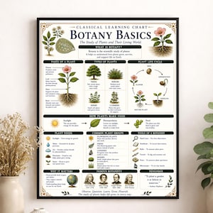 Può includere: Un poster educativo incorniciato intitolato Classical Learning Chart Botany Basics. Il poster presenta illustrazioni botaniche dettagliate, diagrammi sui cicli di vita delle piante, parti di una pianta e sezioni su bisogni, tipi e botanici famosi.