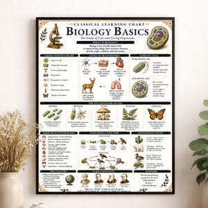 Puede incluir: Un póster educativo enmarcado titulado Biology Basics, que presenta un gráfico de aprendizaje clásico con ilustraciones de células, un microscopio, un ciervo y varios organismos. El gráfico incluye secciones sobre los cinco reinos de la vida, cadenas alimentarias y sistemas de órganos humanos con etiquetas de texto detalladas.