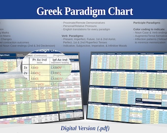 Biblisches griechisches Paradigmendiagramm [Digitale Version] - Minimierung des Memorisierungslernens durch Ähnlichkeitserkennung