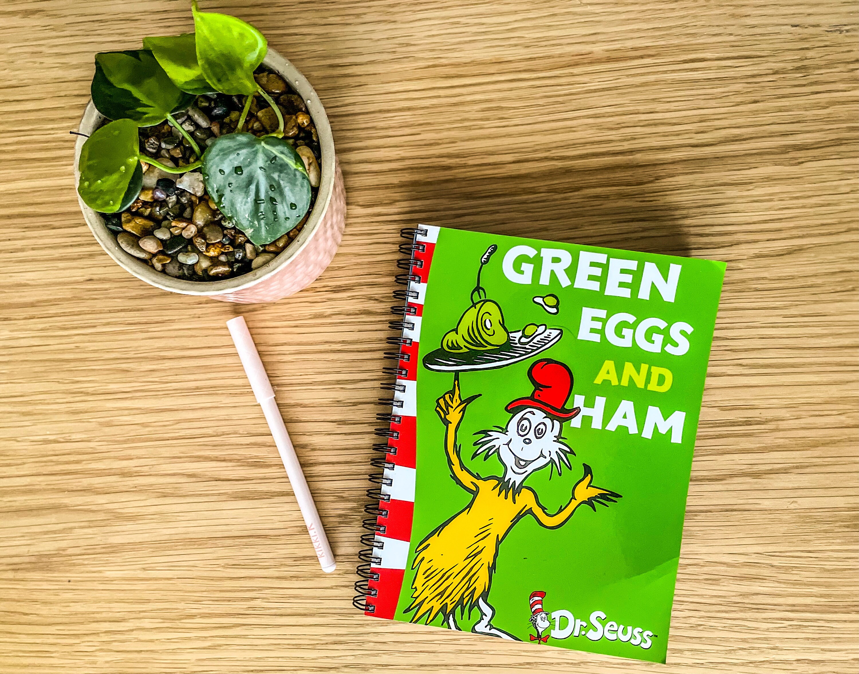 Dr Seuss 2023 Diary Old Books Etsy Ireland