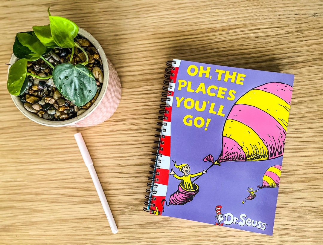 Dr Seuss 2025 Diary Old Books Etsy