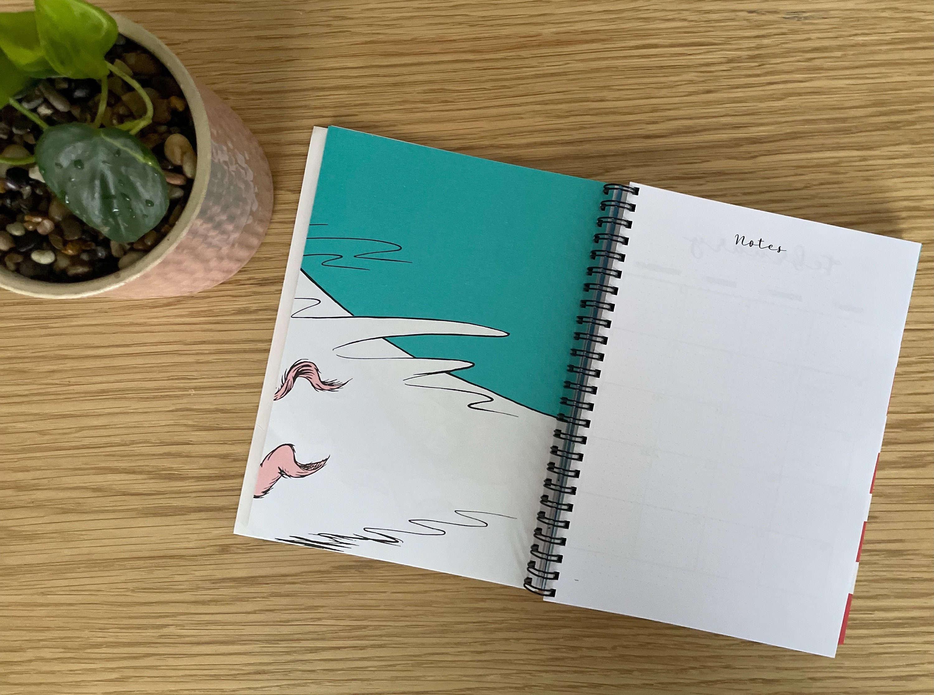 Dr Seuss 2023 Diary Old Books Etsy Australia