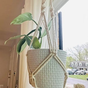 Macrame Plant Hanger