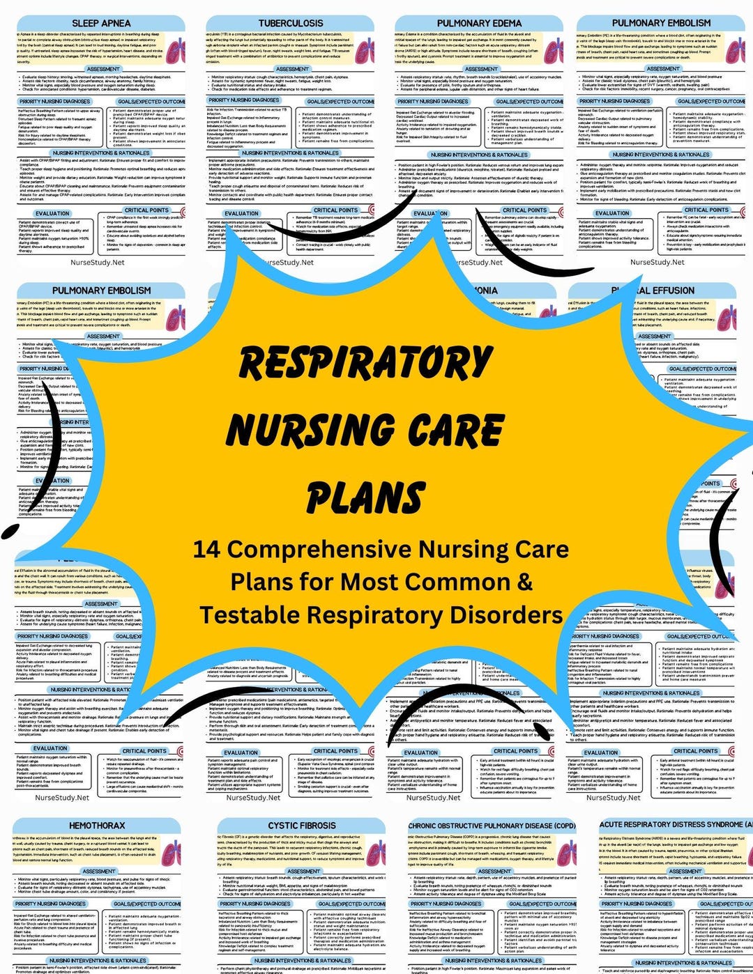 Respiratory Nursing Care Plans: NCLEX Study Guide (PDF Download) - Etsy