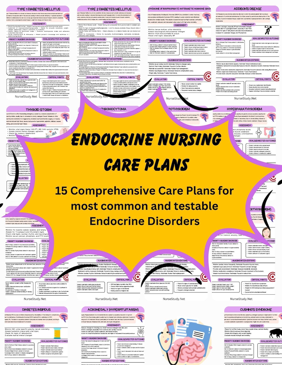 Endocrine Nursing Care Plans: 15 Disorders, NCLEX Study Guide (PDF ...