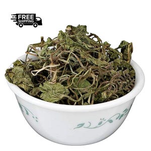 indian tobacco dried Dried Indian Tobacco