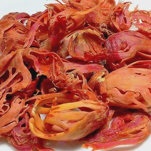 May include: A close-up of dried mace blades, displaying a spectrum of reddish-orange colours. The delicate, net-like patterns of the spice are evident, giving a textured look. The image is set against a plain white backdrop.
