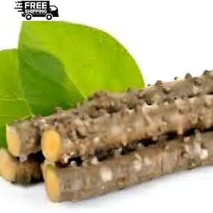 May include: Close-up of several brown, textured stems with yellow-toned cut ends, possibly a plant product. Two large, bright green leaves are positioned behind the stems. The image is set against a white background.