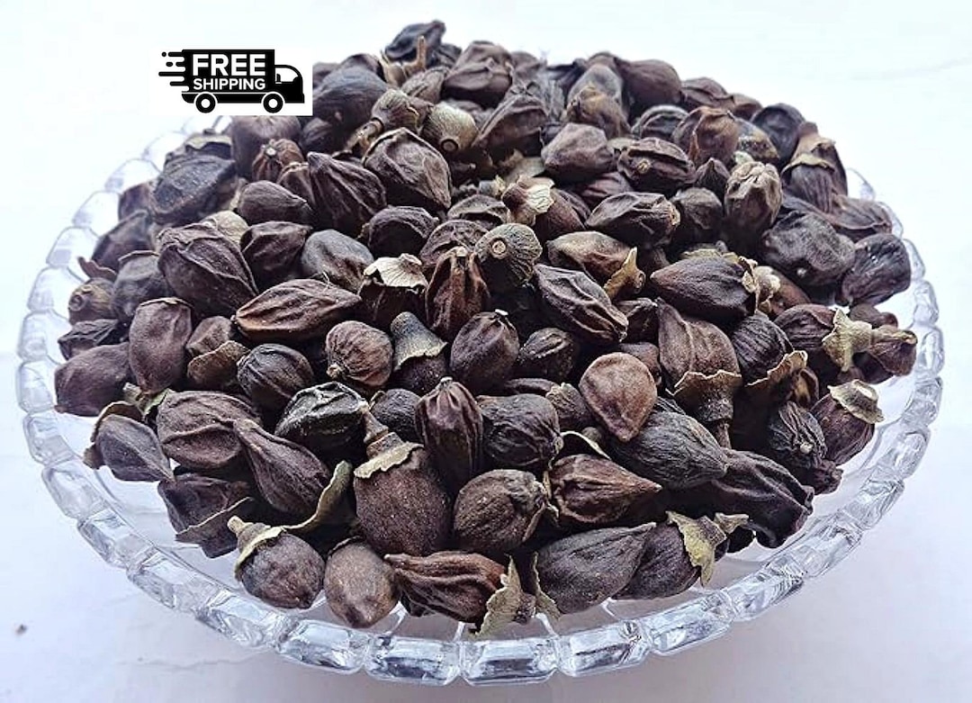 Lasotha Lisodha Dry – Lasoda / Lasora / Lesua – Sapistan – Cordia Latifolia ...