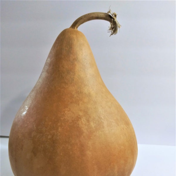 Gourds,Dried Gourd,Birdhouse Gourds,Natural Gourd,Clean Gourds,Gourds for Crafting,Hard Shell Gourds,Craft Supplies,Gourd Art,Gourd Supplies