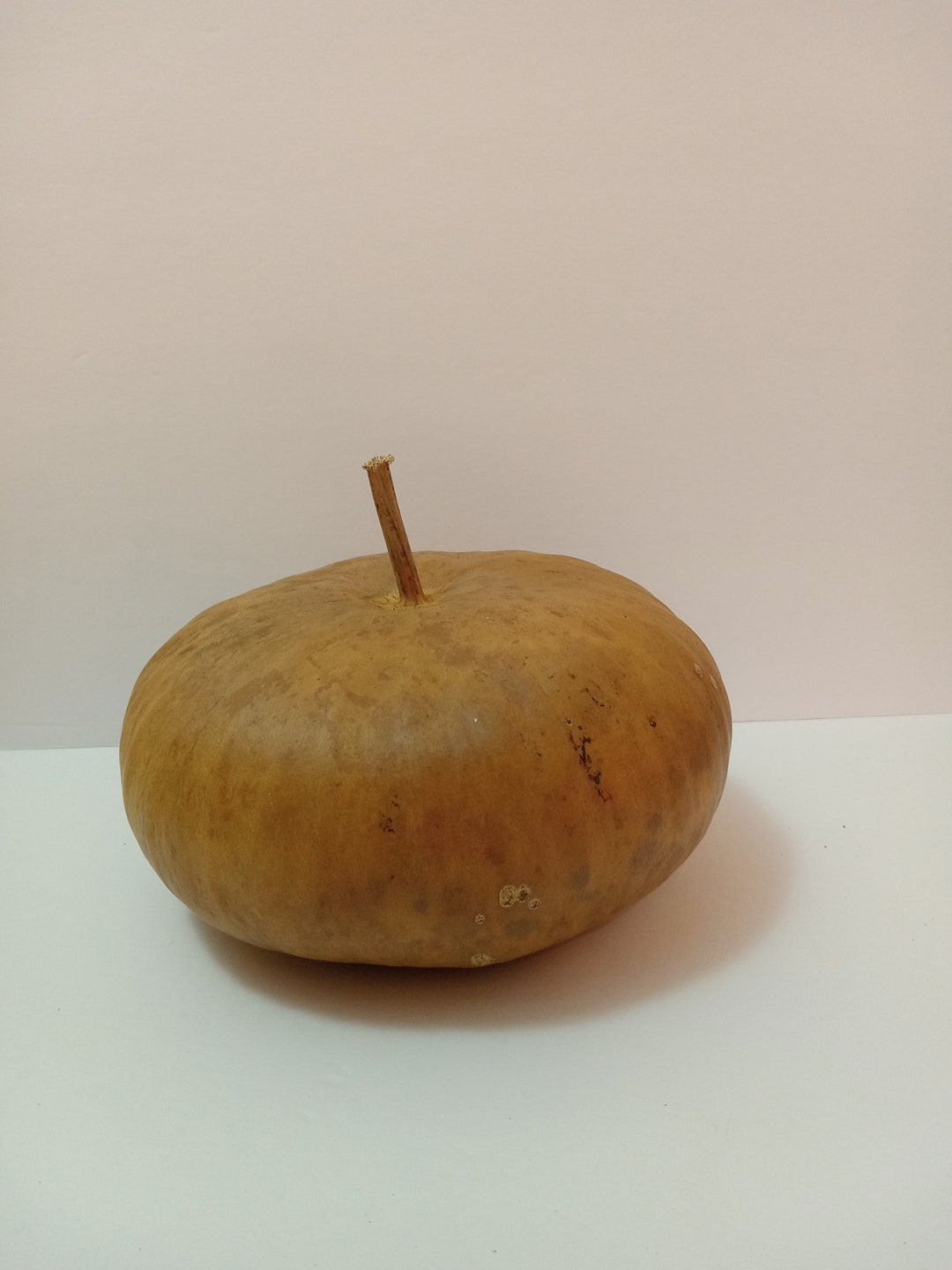 Gourds,canteen Gourds,dried Gourds,naturalgourds,gourds for Crafting