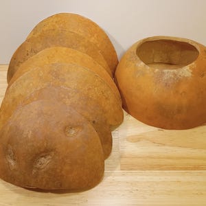 May include: A collection of dried, tan-colored gourd halves arranged in a stacked, overlapping row, accompanied by a single, separate, hollowed-out gourd bowl with a circular opening at the top, all featuring a natural, textured, matte surface.