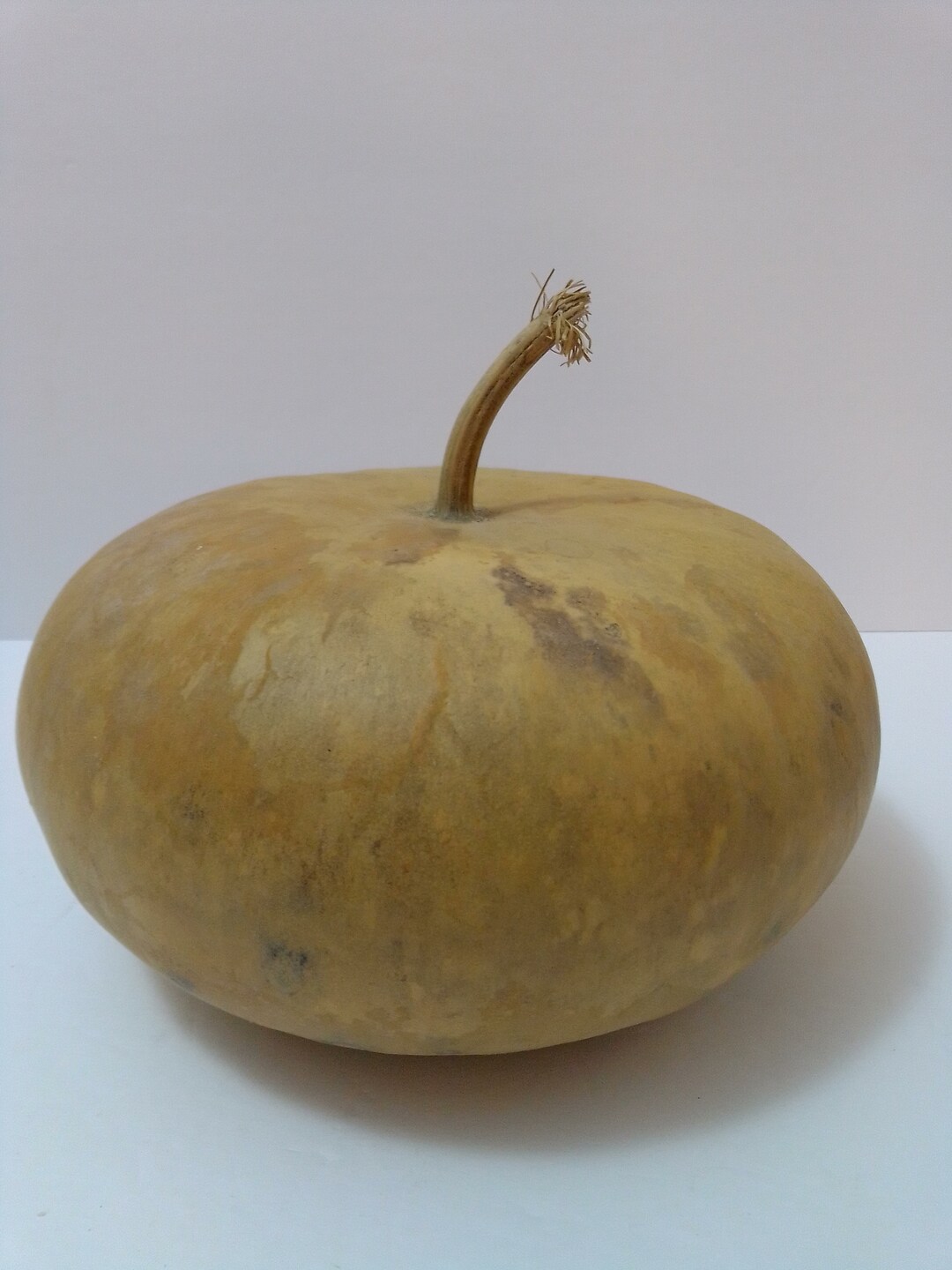 Gourds,canteen Gourds,dried Gourds,naturalgourds,gourds for Crafting