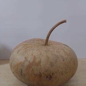Gourds,Canteen Gourds,Dried Gourds,NaturalGourds,Gourds for Crafting,Hard Shell Gourds,Craft Supplies,Gourd Art,Gourd Supplies