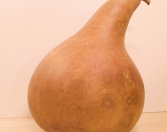 Gourds,Kettle Gourd,Birdhouse Gourd,Natural Gourds,DIY Gourds,Gourd Art,Yard Art,Birdhouses,Unique Gift,One of a Kind Gift,Dried Gourds