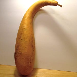 Gourds,Penguin Gourds,Gourds for Crafting,Tall Body Gourds,Gourd Crafts,Natural Gourds,Hard Shell Gourds,Gourd Art,Gourd Craft Supplies